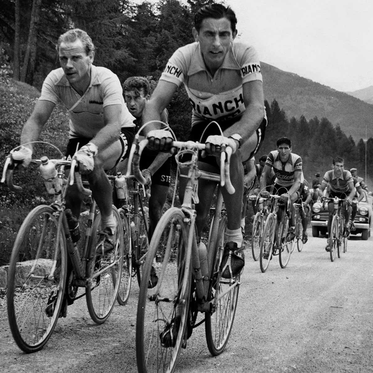 66789415 – Foto: KEYSTONE/Photopress-Archiv 66789415 – Foto: KEYSTONE/Photopress-Archiv