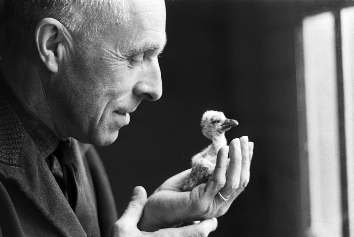 690366330 – Foto: KEYSTONE/Photopress-Archiv/Joe Widmer